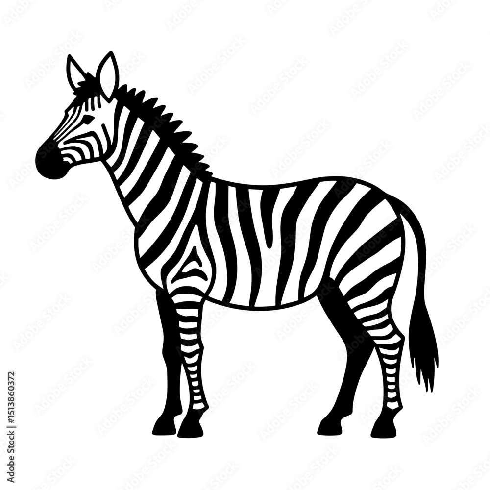 Fototapeta premium Black and white vector drawing of a zebra standing in side view for design and printing