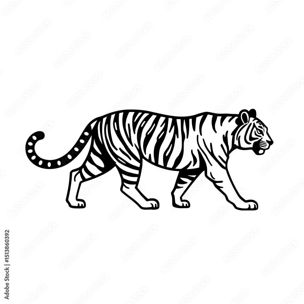 Naklejka premium Black and white line drawing of a tiger walking in side profile for design and printing
