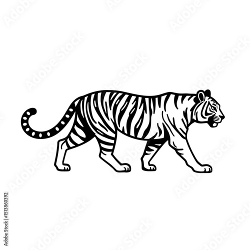 Black and white line drawing of a tiger walking in side profile for design and printing