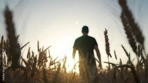 silhouette of a man in a field