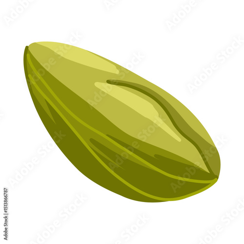 Pistachio nut with smooth texture and natural shape. Hand drawn vector illustration of edible seed. For snack branding, product design, menu visuals, stickers, organic packaging