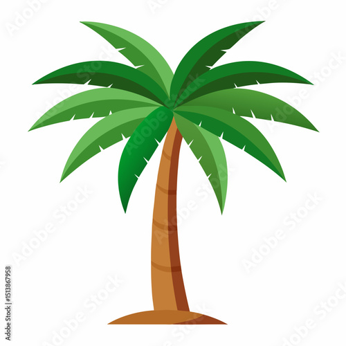 palm tree vector illustration