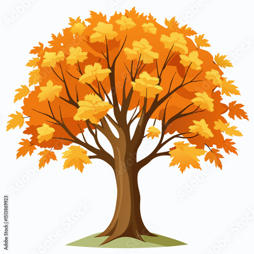 autumn tree vector illustration