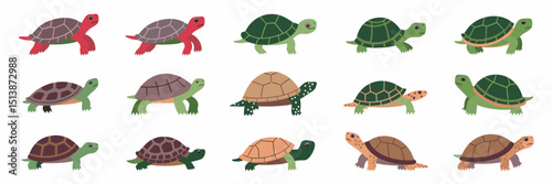 Turtle icon set featuring different turtle species in various poses – Great for wildlife education, nature blogs, or animal-themed products.