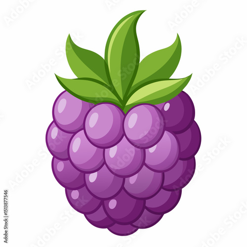 vector illustration of a raspberry