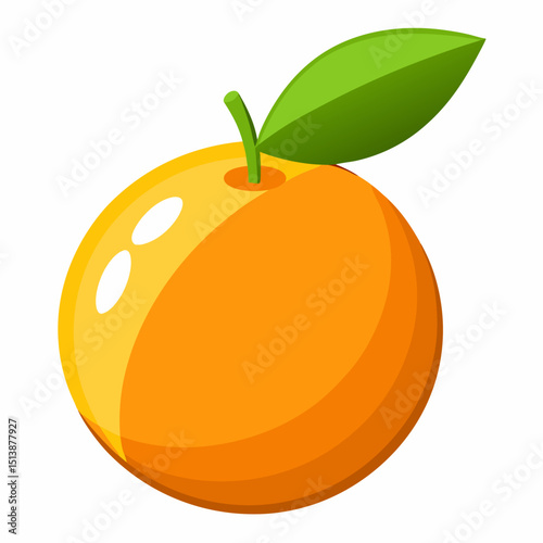 orange fruit vector illustration