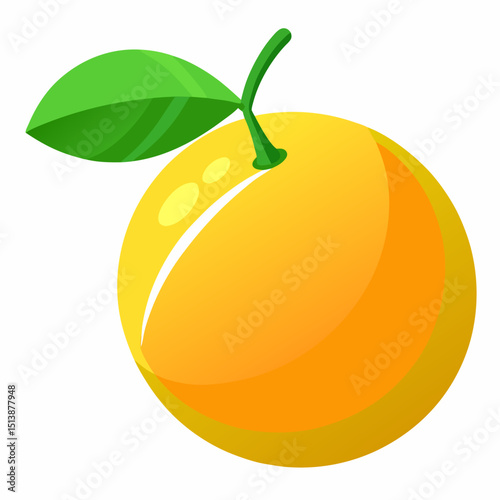 vector illustration of an orange