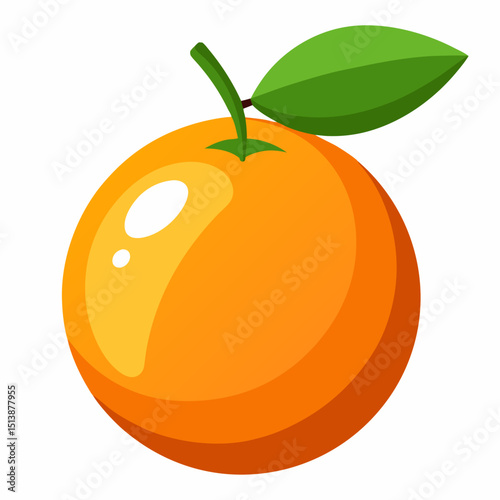 orange fruit vector illustration