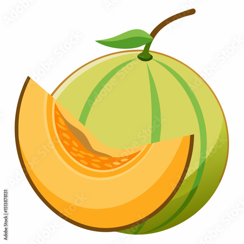 melon isolated on white