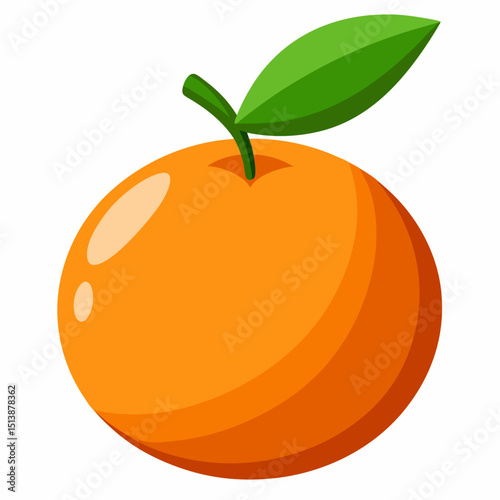 vector illustration of an orange