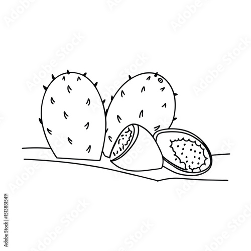 Black and white illustration of prickly pear cacti and sliced fruits isolated on white background