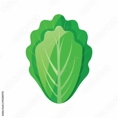 Fresh. vibrant illustration of a cabbage. perfect for recipes. food blogs. and healthy living content.