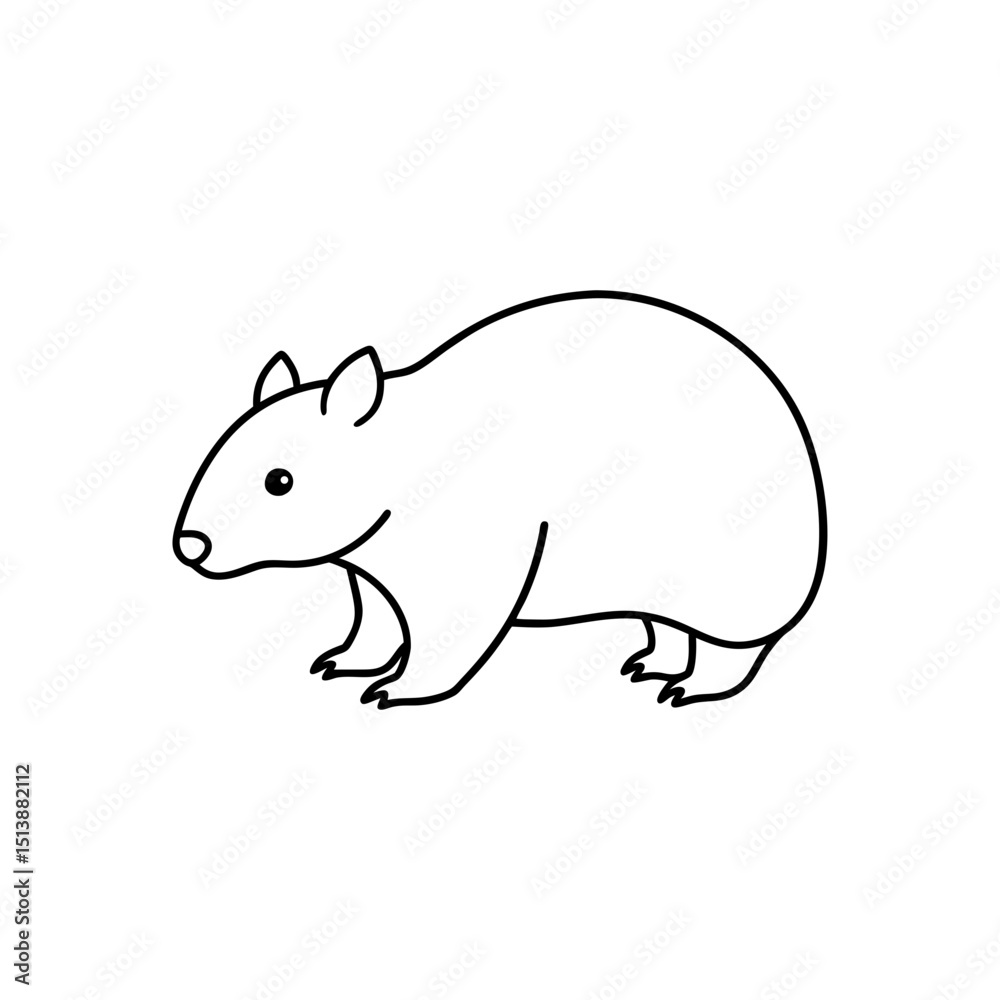 Obraz premium Vector illustration of Wombat line art