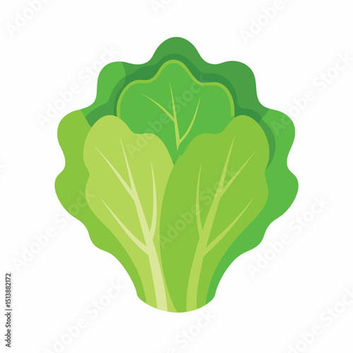 Fresh. vibrant illustration of a cabbage. perfect for recipes. food blogs. and healthy living content.