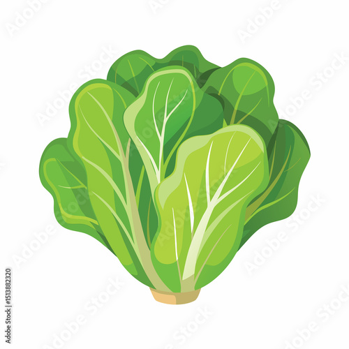 Fresh. vibrant illustration of a cabbage. perfect for recipes. food blogs. and healthy living content.