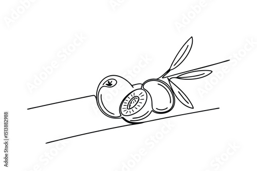 Simple black and white line art illustration of freshly cut plum with leaves
