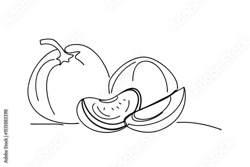 Simple line drawing of cantaloupe and slices depicting fresh food or healthy eating