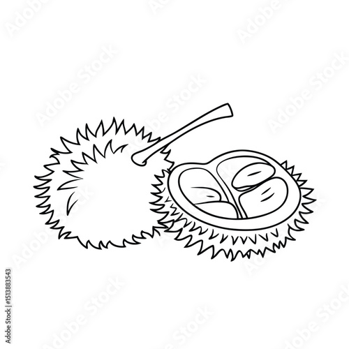 Vector illustration of durian fruit whole and cut open in a simple black and white style