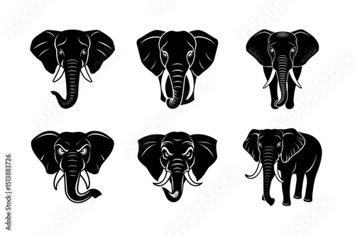 set of vector silhouettes of elephants