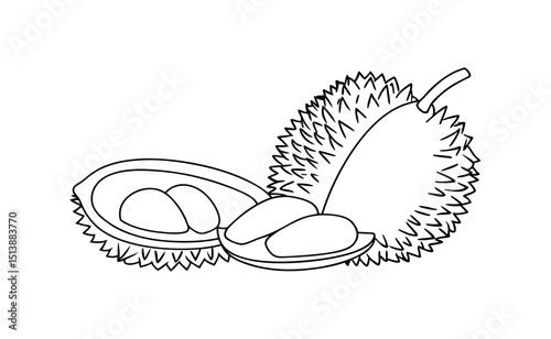 Line art illustration of a durian fruit showing the fruit and seeds in an open state.