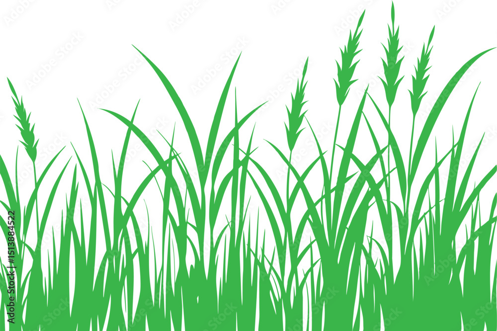 Fototapeta premium Green grass illustration against a white background depicting nature and botanical elements