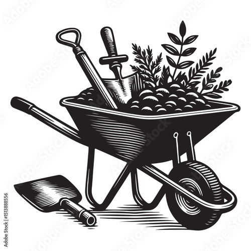 Wheelbarrow filled with stones and plants vector image