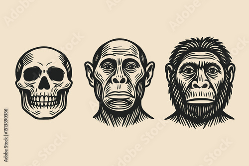 Prehistoric skull and head anatomy engraving vector illustration

