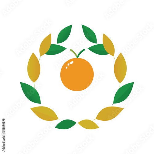 orange fruit vector illustration
