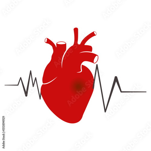 The human heart and heartbeat. Flat style.