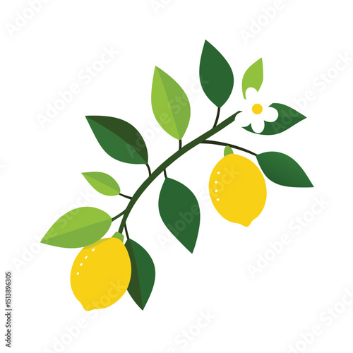 lemon tree with leaves