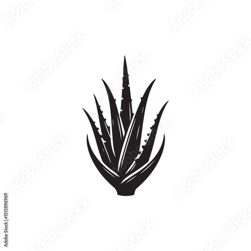 Aleo Vera Vector (4).eps