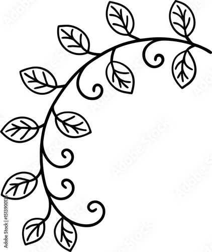 Curved leafy vine with decorative swirling tendrils elegant botanical foliage element, simple black line art design