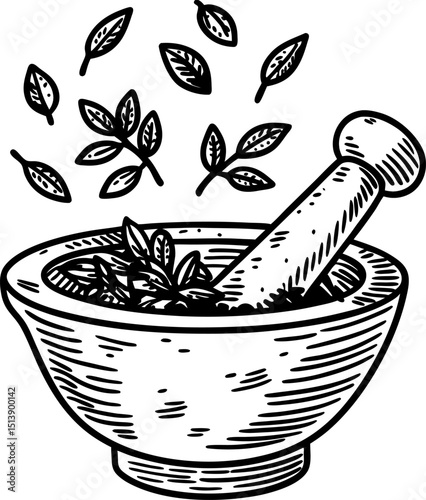 Herbal medicine preparation mortar and pestle crushing fresh leaves, natural organic remedy, botanical illustration