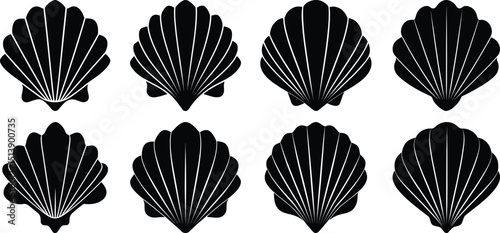 Seashell silhouette bundle on transparent background, summer elements