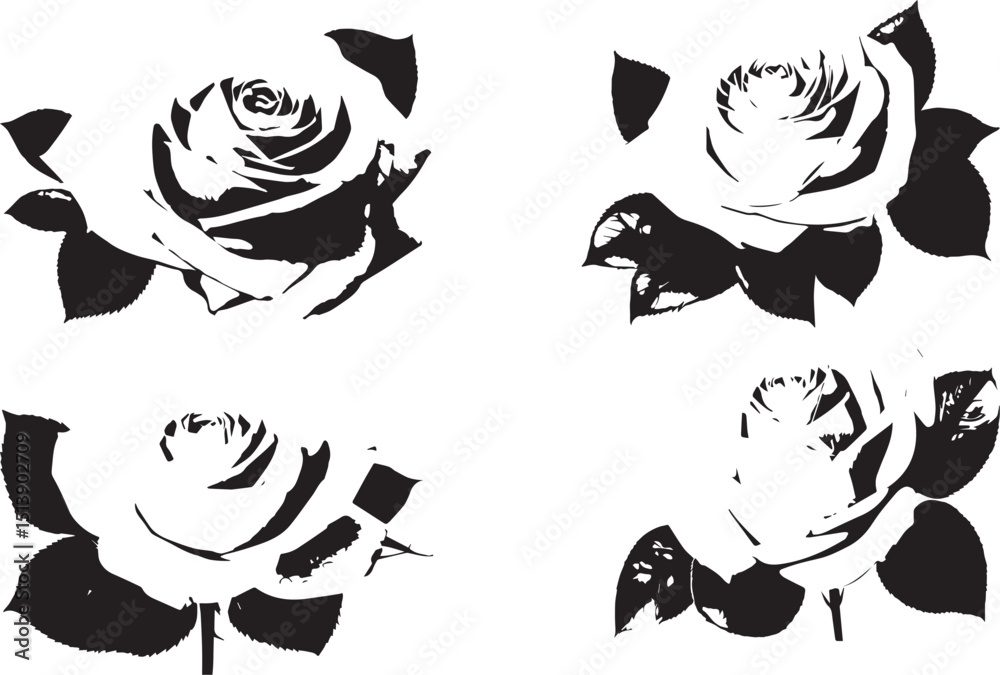 Naklejka premium silhouette rose set on white background