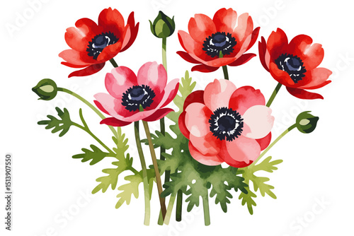 Watercolor Anemone Flower Illustration - Beautiful Red and Pink Floral Arrangement - Delicate Botanical Art Perfect for Spring Designs and Wedding Invitations