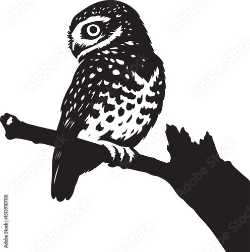 Owl perched detailed black silhouette, Forest owl in elegant outline