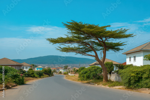 urban sprawl in nigeria under ultrabright clear blue light featuring smooth natural curves and prominent living