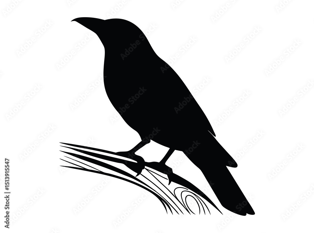 Obraz premium Silhouette of a bird perched on a branch, bold silhouette of a bird, likely a crow or similar species, perched on a branch. bird, crow, raven, silhouette, black and white, monochrome, nature, wildlife