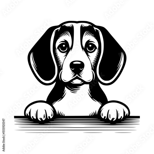 Beagle Peeking Dog Vector Illustration Isolated on White