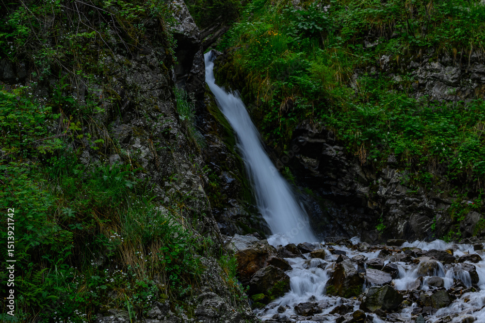 Naklejka premium waterfall in the forest