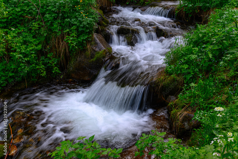 waterfall in the forest waterfall in the forest