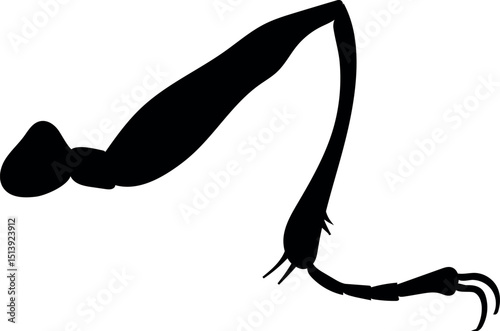 Black silhouette of typical insect leg