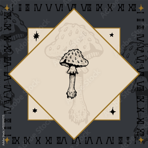 Amanita toxic mushroom alchemical symbol design engraving vector illustration in vintage old medieval style