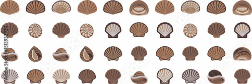 Vector icon sheet of seashells in different shapes and sizes – Suitable for beach themes, marine biology, or travel content