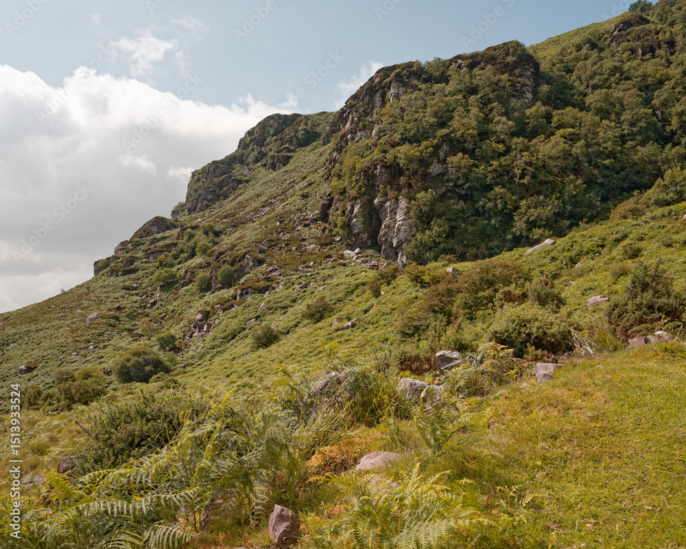 Fototapeta premium Scenic view of Strickeen mountain covered in lush green vegetation in the Gap of Dunloe, County Kerry, Ireland.