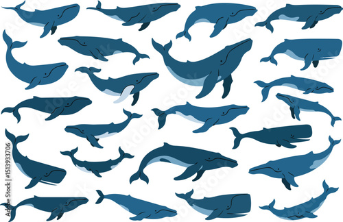 Stylized marine life illustration of multiple blue whales swimming in the ocean