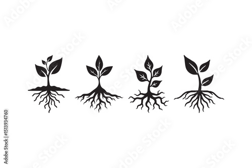 Collection of Plant Root Icons