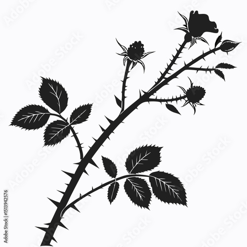 bramble with leaves