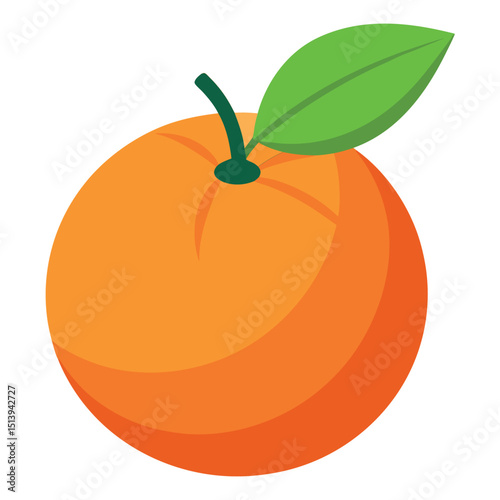 vector illustration of orange fruit